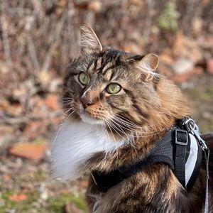 Meet your Posher, Beth